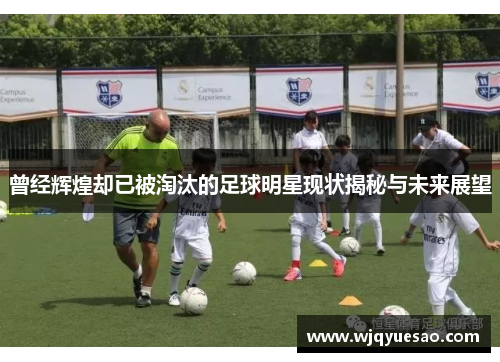 曾经辉煌却已被淘汰的足球明星现状揭秘与未来展望