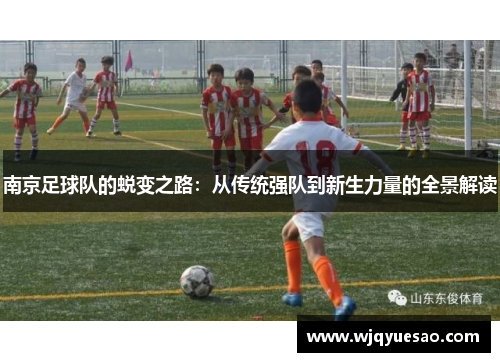南京足球队的蜕变之路：从传统强队到新生力量的全景解读