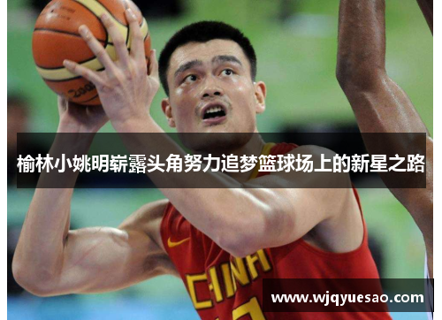 榆林小姚明崭露头角努力追梦篮球场上的新星之路