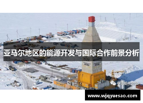 亚马尔地区的能源开发与国际合作前景分析